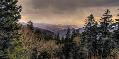 ffaw1612_dave_horner_image-05